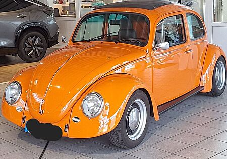 VW Käfer Volkswagen