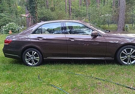 Mercedes-Benz E 250 BlueTEC 4MATIC AVANTGARDE Autom. AVANT...