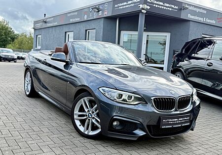 BMW 220 d Cabrio M Sportpaket |LEDER|BIXENON|NAVI|