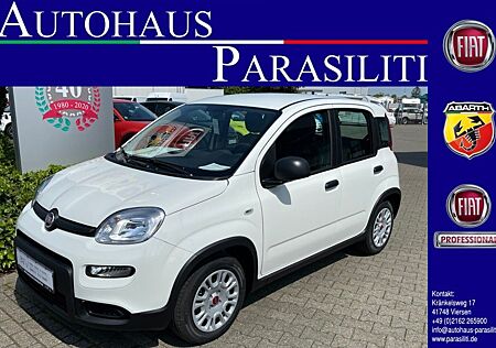 Fiat Panda Hybrid 1.0, Klima, ZV mit FB