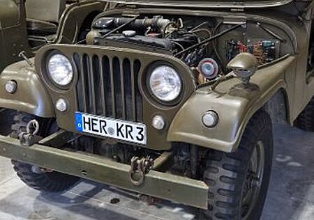 Jeep Willys kein Ford Mutt