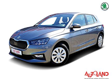 Skoda Fabia 1.0 Spurhalte DAB Sitzheizung Tempomat PDC