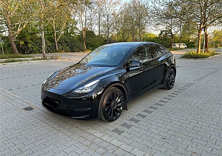 Tesla Model Y Performance Dual Motor AWD Performance