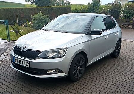 Skoda Fabia 1.2l TSI 66kW Ambition (Dellen/Kratzer)