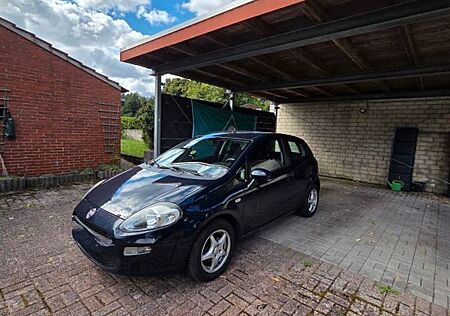 Fiat Punto gebraucht kaufen Fiat Punto 1.2 8V POP