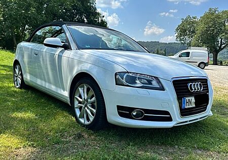 Audi A3 2.0 TDI Ambition Cabriolet Ambition