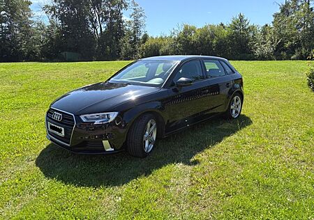 Audi A3 2.0 TDI S-tronic Sportback 8-fach Alu