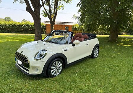 Mini Cooper Cabrio Autom. Chili Led. Selbstl. Parksys