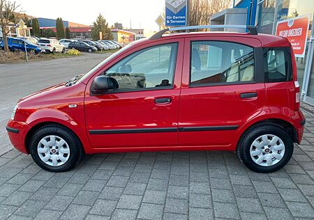 Fiat Panda 1.2 8V Dynamic- 1.HAND-KLIMA-TÜV NEU