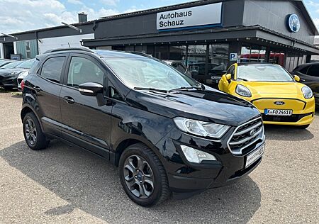 Ford EcoSport Cool & Connect Winterpaket