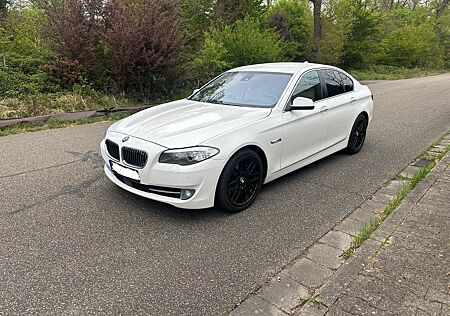 BMW 535i Sternenhimmel/Ambiente-Beleuchtung AppleCar