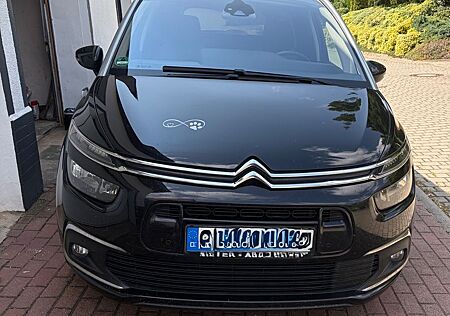 Citroën C4 SpaceTourer Panorama Frontscheibe; 7-Sitzer