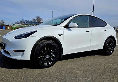 Tesla Model Y RWD