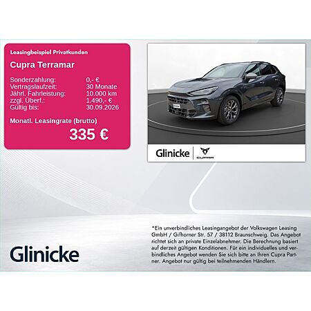 Cupra Terramar leasen