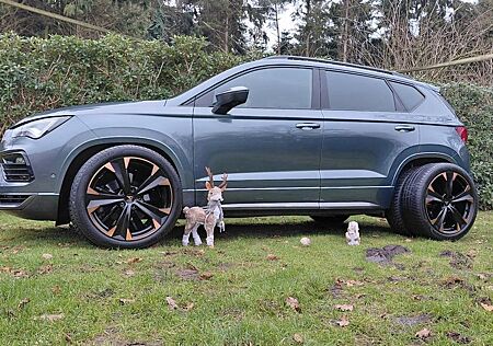 Cupra Ateca Vierlenkerachse Anhalteverkürzung Emergenc