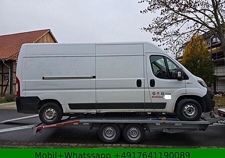 Fiat Ducato Grossr.-Kasten 33 120 L4H2 RS: 4035 mm