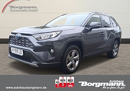 Toyota RAV 4 Hybrid 4x2 Team Deutschland 2.5 VVT-i *Nav