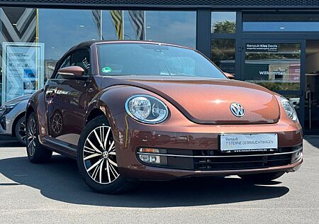 VW Beetle Volkswagen Cabriolet Allstar BMT