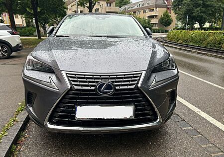 Lexus NX 300 300h -