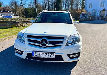 Mercedes-Benz GLK 250 CDI 4MATIC BlueEFFICIENCY -