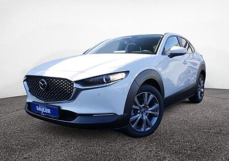 Mazda CX-30 e-SKYACTIV G 140 KAMERA NAVI ACC HUD LED