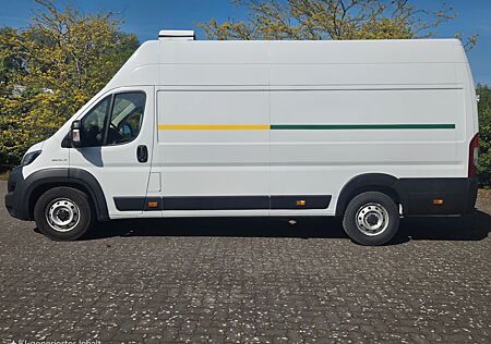 Fiat Ducato Maxi Grossr.-Kasten 35 180 L5H3 RS: 4035
