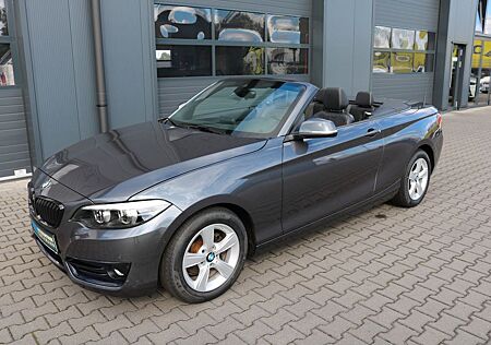 BMW 218i Cabrio Sport Line AUT LED NAVI HIFI LEDER