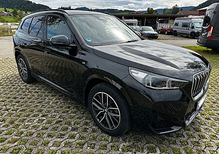 BMW X1 xDrive23i AHK-M-Paket-Head-Up