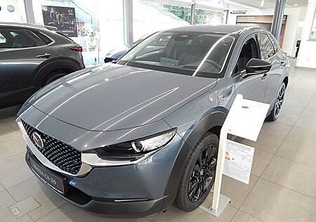 Mazda CX-30 2.5L e-SKYACTIV G 140ps 6AT FWD Homura