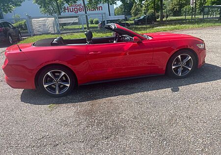 Ford Mustang Cabrio 3.7 V6