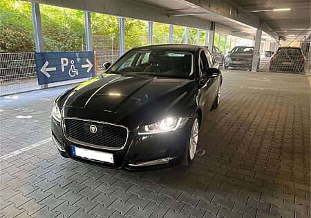 Jaguar XF 30d 300PS Prestige Automatik Prestige