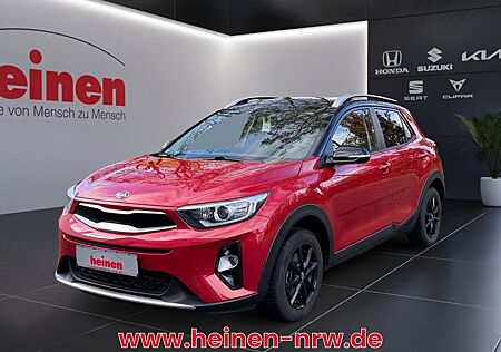 Kia Stonic gebraucht kaufen Kia Stonic 1.2 Vision NAVI DAB ALU
