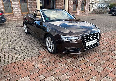 Audi A5 Cabriolet 1.8 TFSI+Leder+Navi+Bi-Xenon+