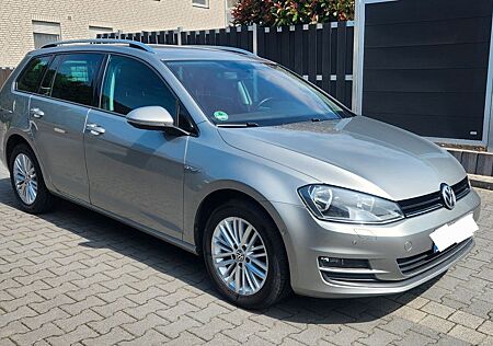 VW Golf Volkswagen 1.6 TDI Variant CUP