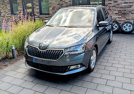 Skoda Fabia 1.0l TSI 70kW DSG CLEVER CLEVER