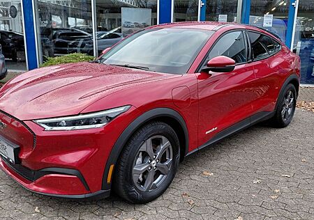 Ford Mustang Mach-E Basis