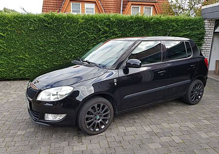 Skoda Fabia 1.6l TDI 66kW Family STYLE COMFORT