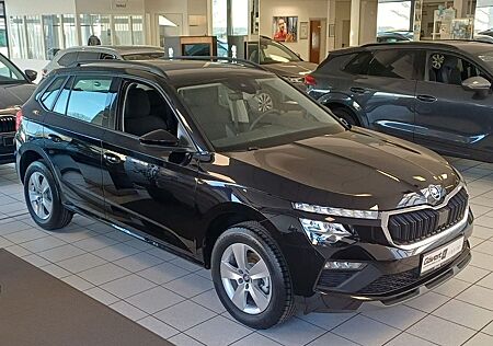 Skoda Kamiq 1.0 Selection Klima Sitzhzg Rückfkam