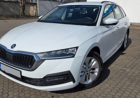 Skoda Octavia 2.0 TDI 110kW AMBITION COMBI AMBITION