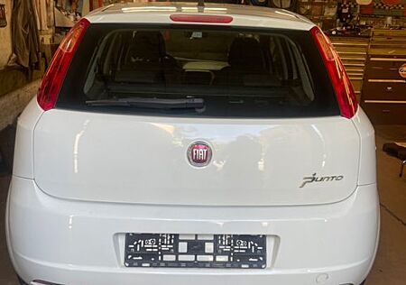 Fiat Punto 1.2 8V //TÜV NEU-07/27// sehr sparsam