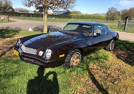 Chevrolet 1 FS 87, Camaro