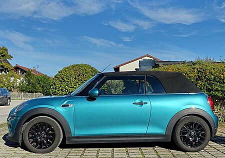 Mini Cooper Cabrio Cooper Garagenwagen Verdeck neu!
