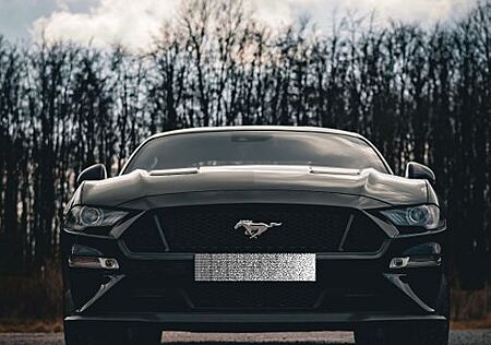 Ford Mustang GT Coupe *SCHALTER*GARANTIE*GEPFLEGT