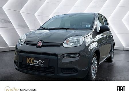 Fiat Panda 1.0 Mild-Hybrid Klimaautomatik Bluetooth K