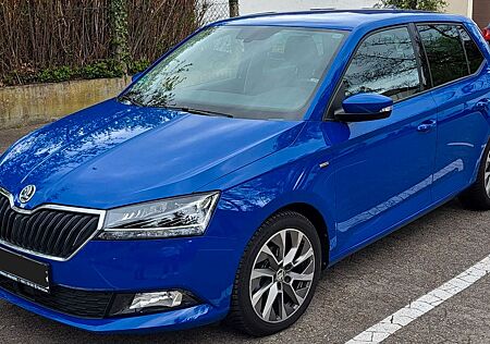 Skoda Fabia 1.0l TSI 70kW CLEVER BEST OF COMBI CLE...