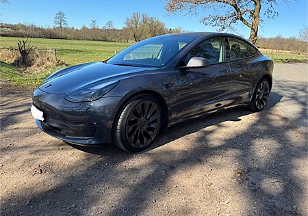 Tesla Model 3 Performance, Carbon interi. Viel Zubehör