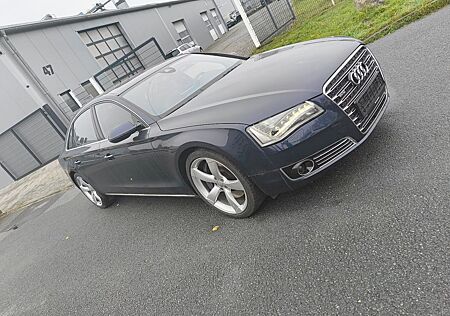 Audi A8 W12 6.3 quattro | Vollausstattung | Fond