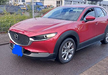 Mazda CX-30 e-SKYACTIV-G M-Hybrid "NAVI"AUTOMATIK