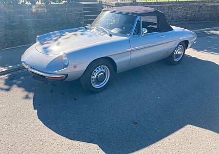 Alfa Romeo Spider "Osso di Seppia"