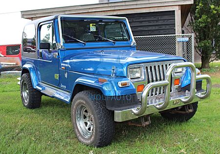 Jeep Wrangler 2.5 Cabrio Hardtop LEUKE AUTO!
